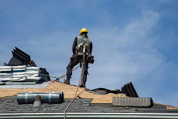 Professional Roofing technician working in Grand Ledge, MI